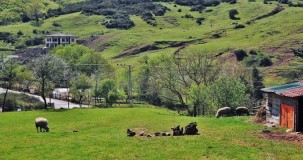 Köyün avantajları ve dezavantajları nelerdir?